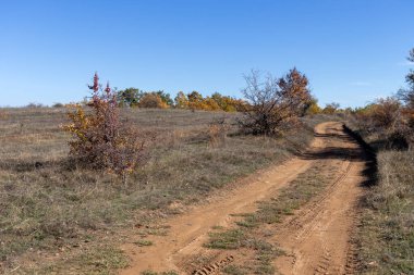 Sonbahar manzara Cherna Gora (Karadağ) Dağı, Pernik bölge, Bulgaristan