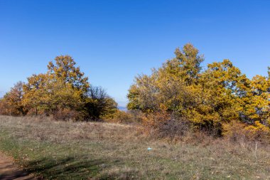 Sonbahar manzara Cherna Gora (Karadağ) Dağı, Pernik bölge, Bulgaristan