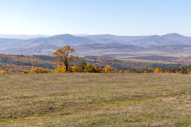Sonbahar manzara Cherna Gora (Karadağ) Dağı, Pernik bölge, Bulgaristan