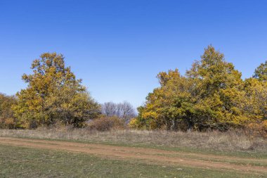 Sonbahar manzara Cherna Gora (Karadağ) Dağı, Pernik bölge, Bulgaristan