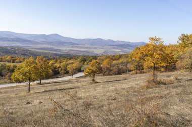 Sonbahar manzara Cherna Gora (Karadağ) Dağı, Pernik bölge, Bulgaristan