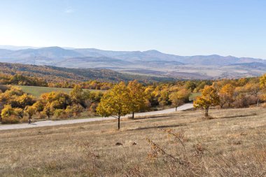 Sonbahar manzara Cherna Gora (Karadağ) Dağı, Pernik bölge, Bulgaristan