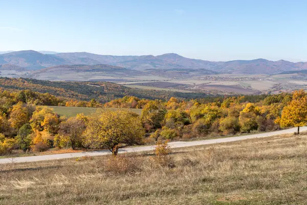 Sonbahar manzara Cherna Gora (Karadağ) Dağı, Pernik bölge, Bulgaristan