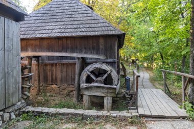 BUCHAREST, ROMANIA - 17 Ağustos 2021: Romanya 'nın Bükreş kentindeki Dimitrie Gusti Ulusal Köy Müzesi