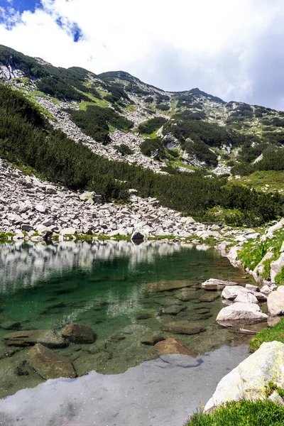 Fantastisk Sommer Landskab Pirin Mountain Fish Banderitsa Bulgarien - Stock-foto