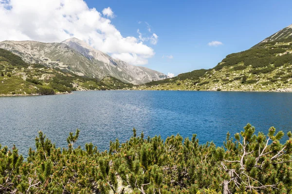 Amazing Summer Landscape Pirin Mountain Fish Banderitsa Lake Bulgaria — Stok Foto