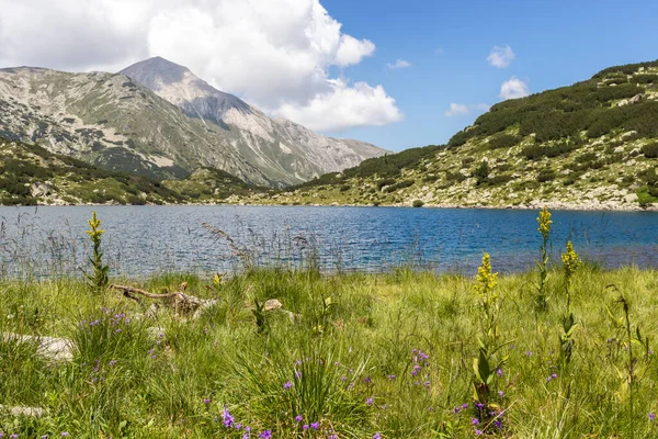 Amazing Summer Landscape Pirin Mountain Fish Banderitsa Lake Bulgaria — Stok Foto