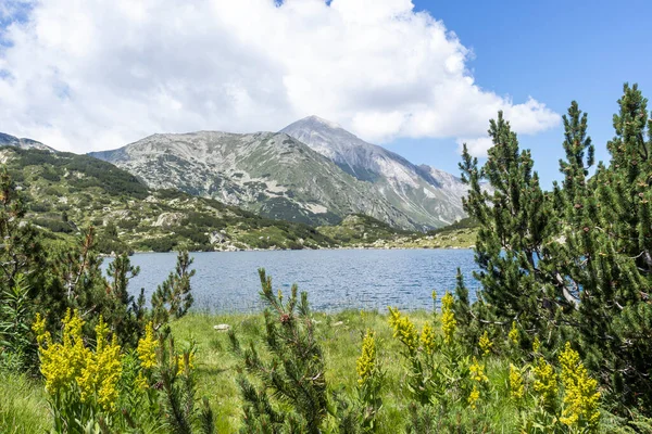 Niesamowity Letni Krajobraz Góry Pirin Jeziora Fish Banderitsa Bułgaria — Zdjęcie stockowe