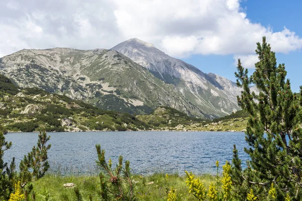 Nanılmaz Yaz Manzarası Pirin Dağı Balık Banderitsa Gölü Bulgaristan — Stok fotoğraf
