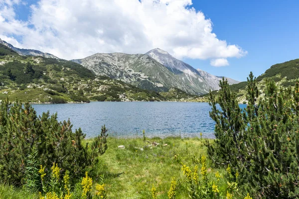 Amazing Summer Landscape Pirin Mountain Fish Banderitsa Lake Bulgaria — Stock Photo, Image