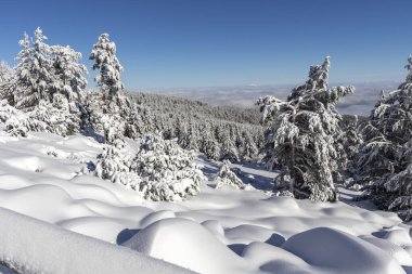Bulgaristan 'ın Sofya Şehir Bölgesi Vitosha Dağı kış manzarası