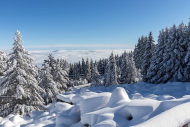 Bulgaristan 'ın Sofya Şehir Bölgesi Vitosha Dağı kış manzarası