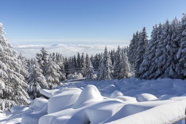 Bulgaristan 'ın Sofya Şehir Bölgesi Vitosha Dağı kış manzarası
