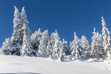 Bulgaristan 'ın Sofya Şehir Bölgesi Vitosha Dağı kış manzarası