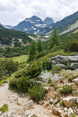 Amazing Summer landscape of Rila Mountain near Malyovitsa peak, Bulgaria
