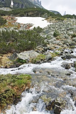 Amazing Summer landscape of Rila Mountain near Malyovitsa peak, Bulgaria