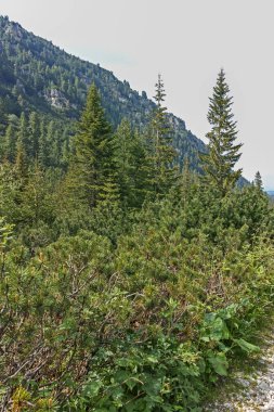 Amazing Summer landscape of Rila Mountain near Malyovitsa peak, Bulgaria