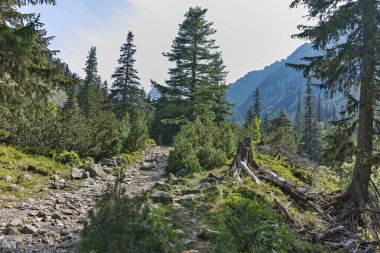 Amazing Summer landscape of Rila Mountain near Malyovitsa peak, Bulgaria