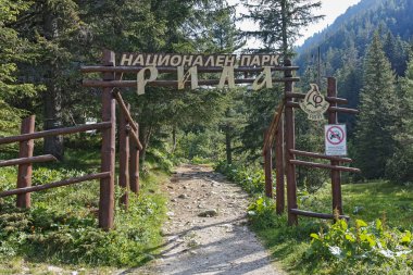 Amazing Summer landscape of Rila Mountain near Malyovitsa peak, Bulgaria