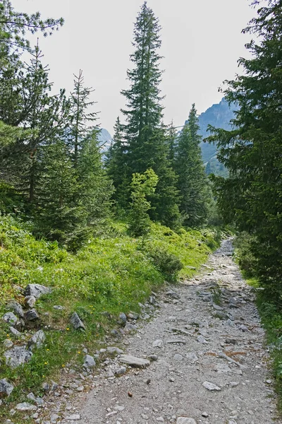 Amazing Summer Landscape Rila Mountain Malyovitsa Peak Bulgaria — Zdjęcie stockowe