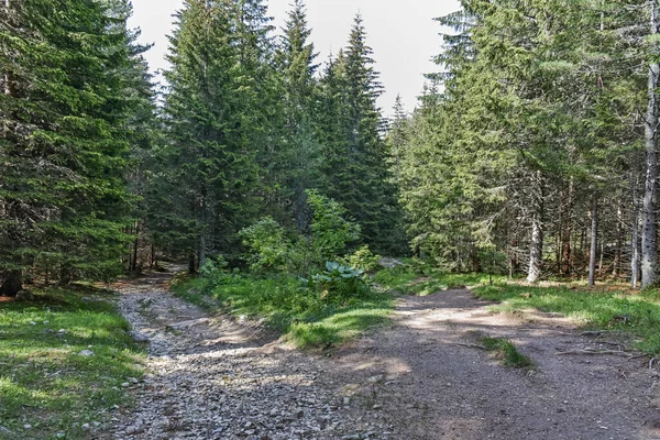 Amazing Summer landscape of Rila Mountain near Malyovitsa peak, Bulgaria