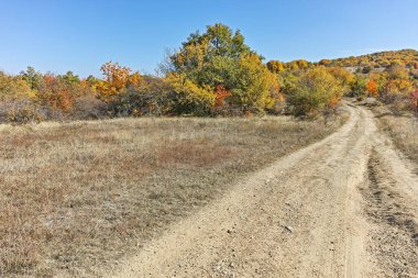 Şaşırtıcı sonbahar manzara Cherna Gora (Karadağ) Dağı, Pernik bölge, Bulgaristan