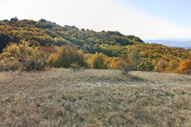 Şaşırtıcı sonbahar manzara Cherna Gora (Karadağ) Dağı, Pernik bölge, Bulgaristan
