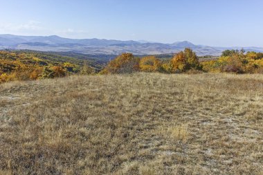 Şaşırtıcı sonbahar manzara Cherna Gora (Karadağ) Dağı, Pernik bölge, Bulgaristan