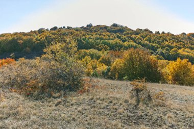 Şaşırtıcı sonbahar manzara Cherna Gora (Karadağ) Dağı, Pernik bölge, Bulgaristan
