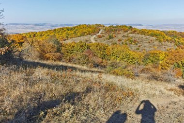 Şaşırtıcı sonbahar manzara Cherna Gora (Karadağ) Dağı, Pernik bölge, Bulgaristan
