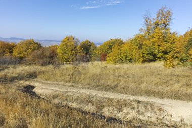 Şaşırtıcı sonbahar manzara Cherna Gora (Karadağ) Dağı, Pernik bölge, Bulgaristan