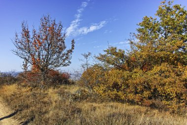Şaşırtıcı sonbahar manzara Cherna Gora (Karadağ) Dağı, Pernik bölge, Bulgaristan