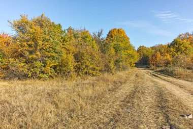 Şaşırtıcı sonbahar manzara Cherna Gora (Karadağ) Dağı, Pernik bölge, Bulgaristan