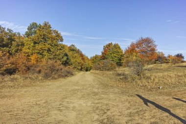 Şaşırtıcı sonbahar manzara Cherna Gora (Karadağ) Dağı, Pernik bölge, Bulgaristan
