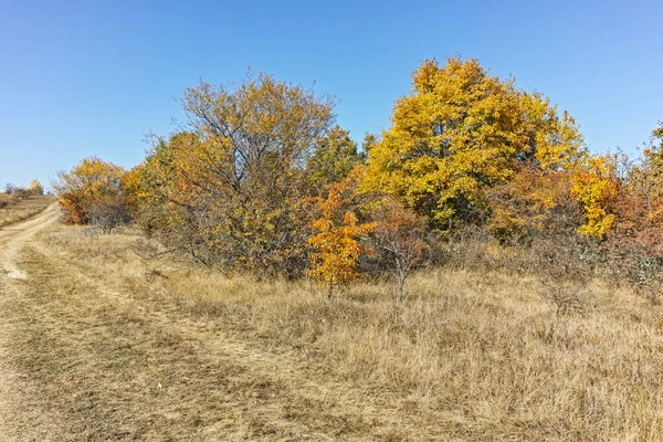 Şaşırtıcı sonbahar manzara Cherna Gora (Karadağ) Dağı, Pernik bölge, Bulgaristan