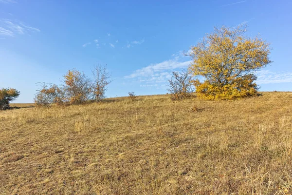 Дивовижні Осінній Пейзаж Гори Черна Гура Чорногорія Pernik Область Болгарія — стокове фото