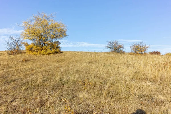 Şaşırtıcı sonbahar manzara Cherna Gora (Karadağ) Dağı, Pernik bölge, Bulgaristan