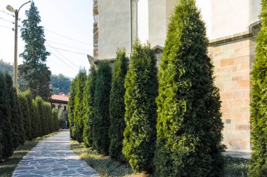 Ortaçağ Lopushna Manastırı, Aziz John Forerunner, Montana ili, Bulgaristan