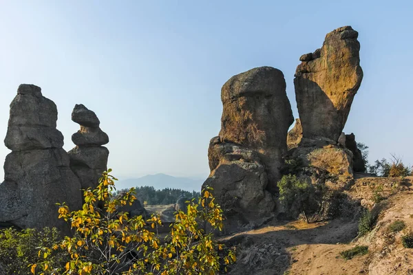 Sunset Autumn View Rock Formation Belogradchik Rocks Vidin Region Bulgaria — Foto Stock