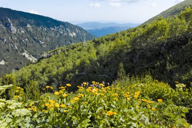 Amazing Landscape of Rila Mountain near The Scary lake and Kupens peaks, Bulgaria