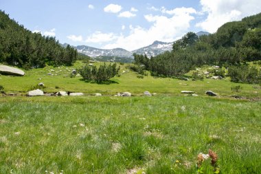 Bulgaristan 'ın Muratovo Gölü yakınlarındaki Pirin Dağı' nın İnanılmaz Yaz manzarası