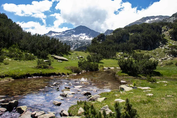 Erstaunliche Sommerlandschaft Des Pirin Gebirges Der Nähe Des Muratovo Sees — Stockfoto