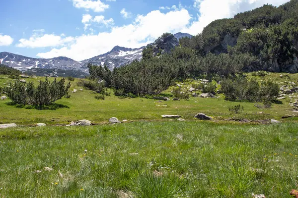 Pemandangan Musim Panas Yang Menakjubkan Dari Pirin Mountain Dekat Danau — Stok Foto