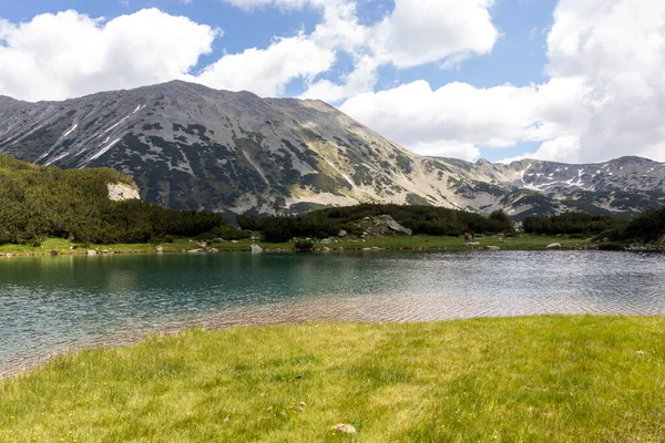 Úžasná Letní Krajina Hory Pirin Nedaleko Jezera Muratovo Bulharsko — Stock fotografie
