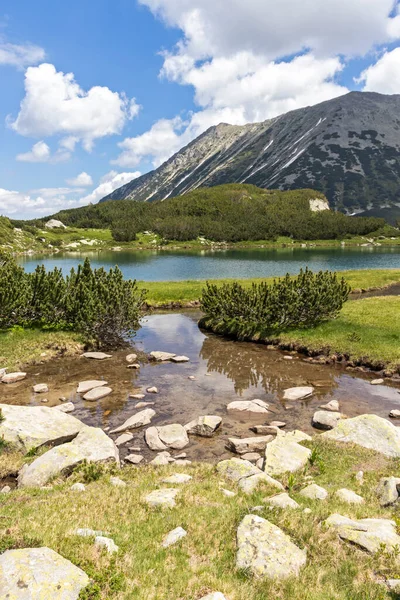 Increíble Paisaje Verano Pirin Mountain Cerca Del Lago Muratovo Bulgaria — Foto de Stock