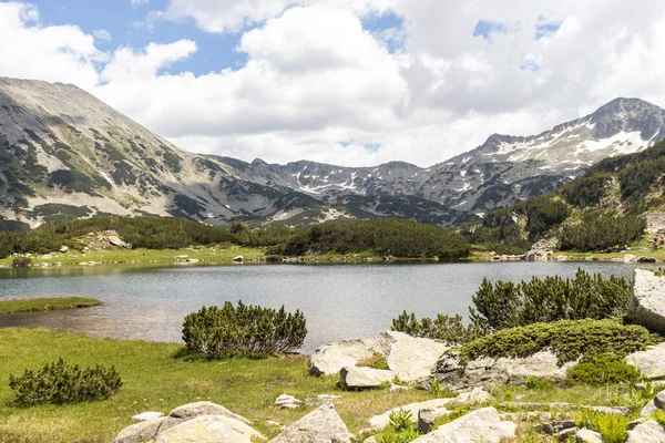 Fantastiskt Sommarlandskap Pirin Mountain Nära Muratovo Sjö Bulgarien — Stockfoto