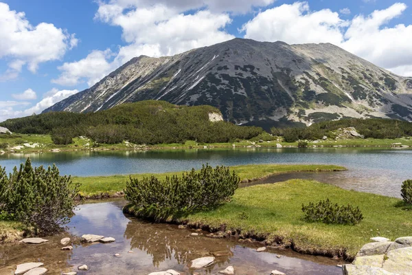 Det Fantastiske Sommerlandskapet Pirinfjellet Nær Muratovo Lake Bulgaria – stockfoto