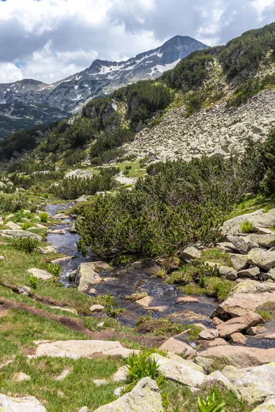 Úžasná Letní Krajina Hory Pirin Nedaleko Jezera Muratovo Bulharsko — Stock fotografie