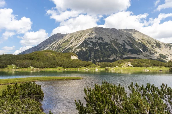 Pemandangan Musim Panas Yang Menakjubkan Dari Pirin Mountain Dekat Danau Stok Gambar Bebas Royalti