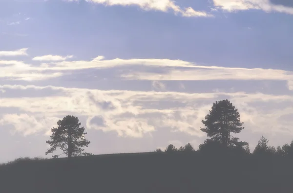 Landelijk landschap — Stockfoto